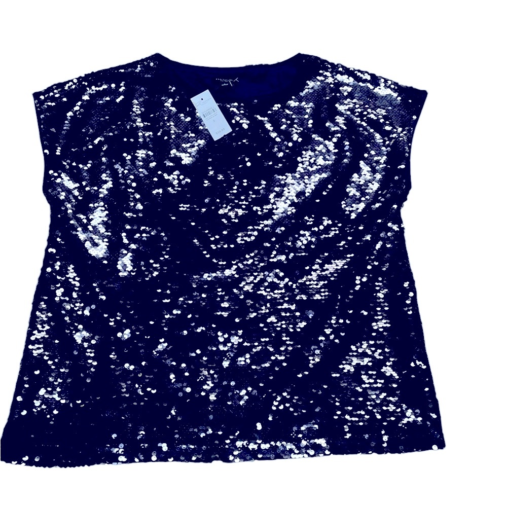 NWT Ann Taylor dark purple. Sequin  top Sz Small non smoking home